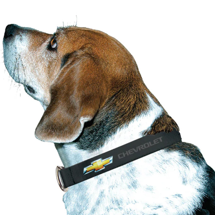 Chevy Bowtie Dog Collar