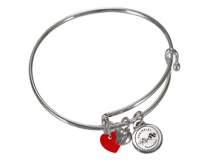 Corvette Adjustable Charm Bracelet