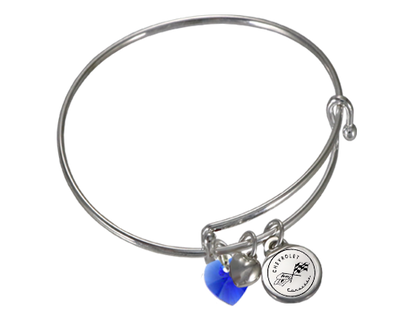 Corvette Adjustable Charm Bracelet