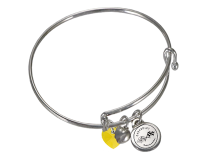 Corvette Adjustable Charm Bracelet